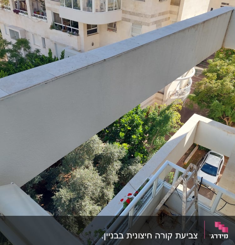 סולם על מרפסת עם עציצים אדומים